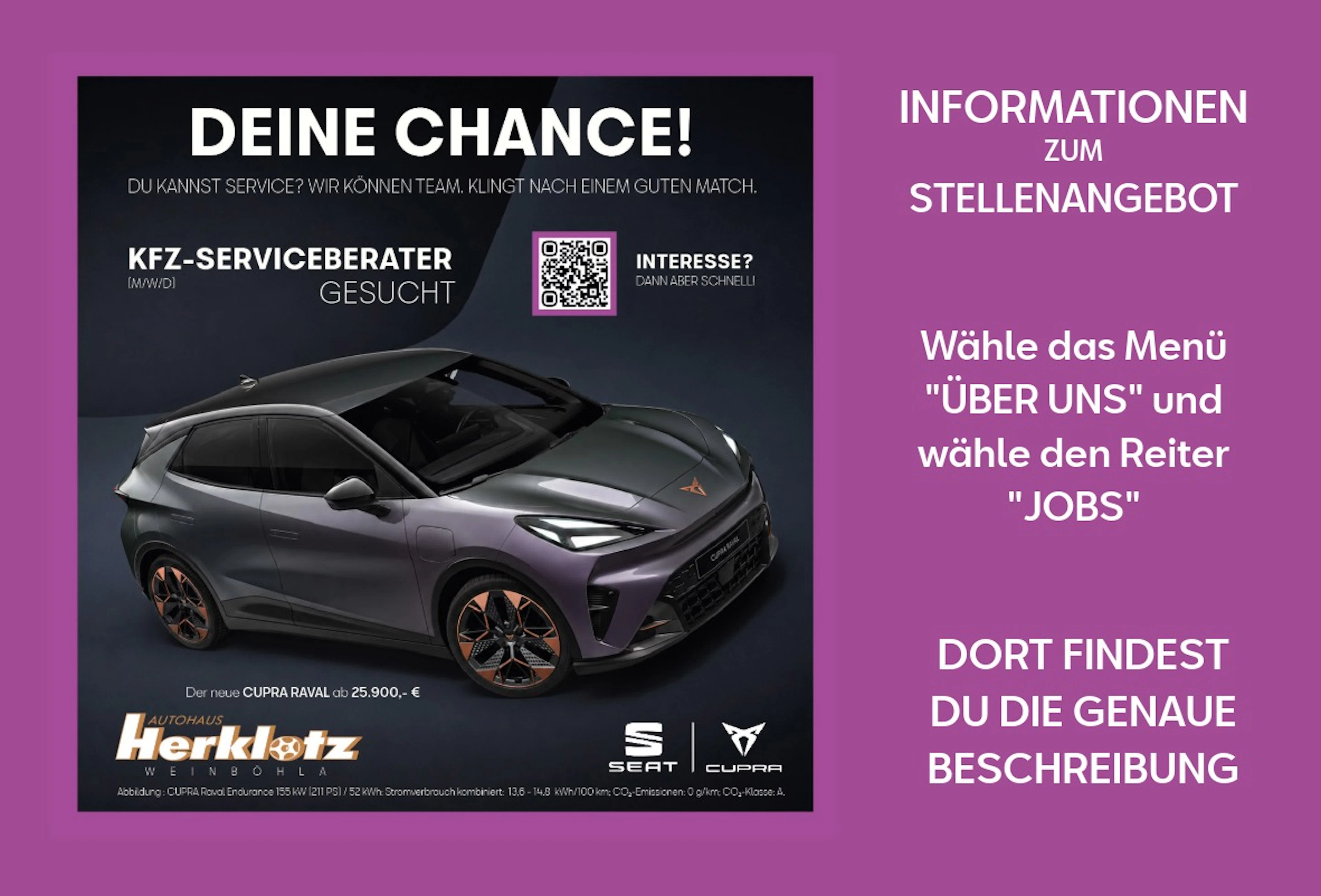 Webseite%20NEU%20Seat%20Header%20Stellenausschreibung-1